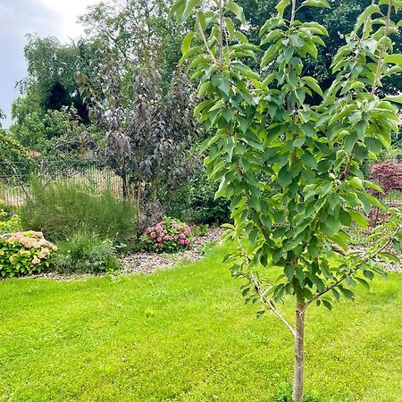 Ferienwohnung Kamrath Mit Wunderschoenem Ausblick ノイルピーン エクステリア 写真