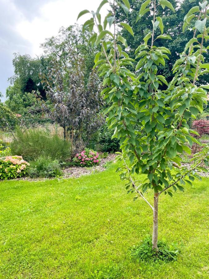 Ferienwohnung Kamrath Mit Wunderschoenem Ausblick ノイルピーン エクステリア 写真